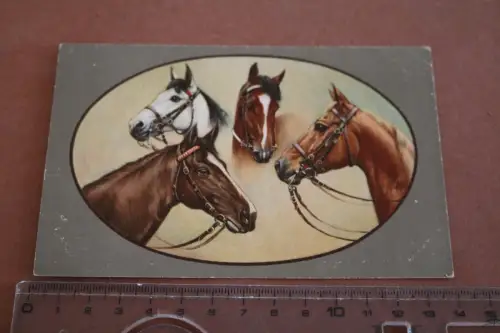 tolle alte Künstlerkarte Pferde Pferdeköpfe Pferderassen 1910-20