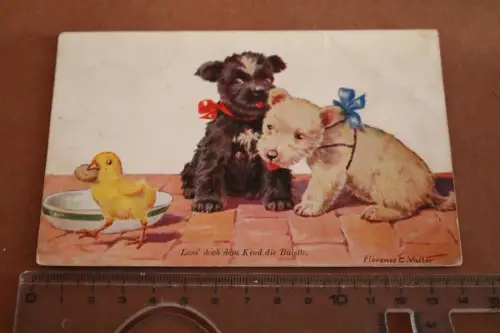 tolle alte Künstlerkarte - zwei Hunde und Küken klaut Keks - Valter 1910-20