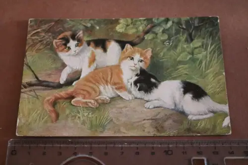 tolle alte Künstlerkarte drei kleine Kätzchen -  1931