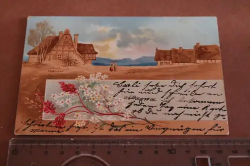 tolle alte Künstlerkarte Reeddachhäuser Landschaft Norddeutschland 1903