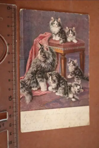 tolle alte Künstlerkarte Katzenmutter mit ihren Kätzchen - 1910-1920