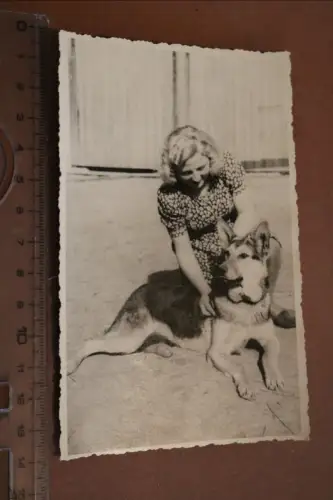 tolles altes Foto blonde Frau mit deutschen Schäferhund - Zschorlau 30-50er Jahr