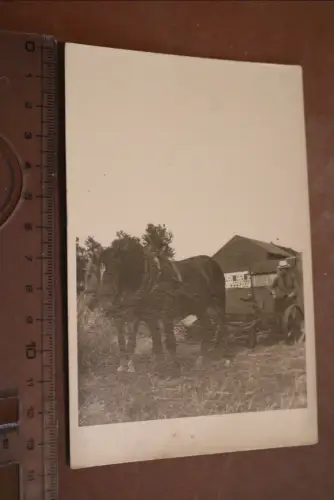 altes Foto  Mann Landwirt mit Pferdepflug 1942