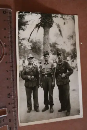 tolles altes Foto - drei Soldaten Südfront – Italien ? Griechenland ? 1942 