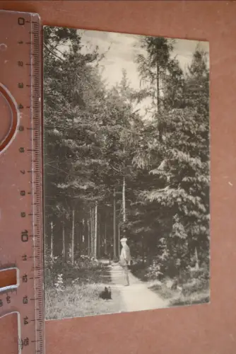 tolle alte Karte - Eingang Nord Sunder Walsrode 1911