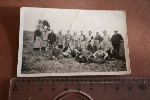 tolles altes Foto Gruppe Landarbeiterinnen und Jugend  30-40er Jahre 