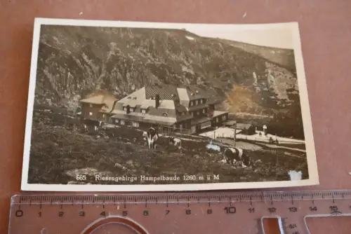 tolle alte Karte - Riesengebirge Hampelbaude  30-40er Jahre 