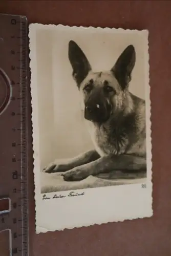 tolle alte Karte - Portrait Deutscher Schäferhund - Ein treuer Freund 1934