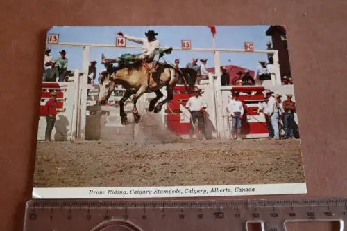 tolle alte Karte - Bronc Riding , Rodeo Calgary Alberta Canada 60-70er Jahre 