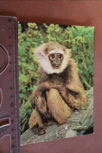 tolle alte Karte Tierpark Berlin - Unka 