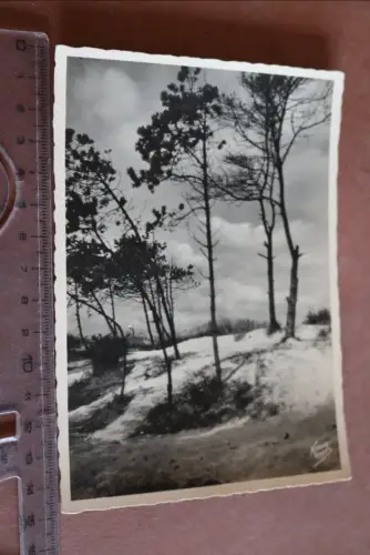 tolle alte Karte - Krauskopf - Kurische Nehrung –  Vordüne   30-40er