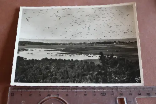 tolle alte Karte - Krauskopf - Kurische Nehrung –  Rossitten Möwenbruc  30-40er