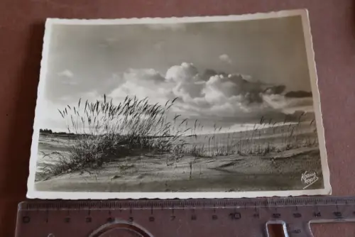 tolle alte Karte - Krauskopf - Kurische Nehrung –  Dünengras und Wolken 30-40er