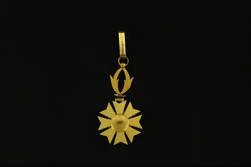 Orden,
Merit du Niger, Mitte 20. Jh., Komtur, wohl Silber vergoldet?, etwas oxidiert, mit Bandschlaufe, selten.

D: 4 cm, L: 10 cm