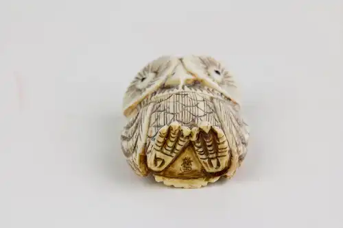 Netsuke, Japan, Anf. 20. Jh., Bein, Eule, schwarz abgesetzt, signiert, Gebrauchsspuren, H: 4 cm.