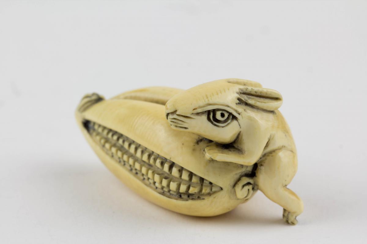 Netsuke, Japan, Meiji Zeit, Bein, Hase auf Maiskolben. L ...