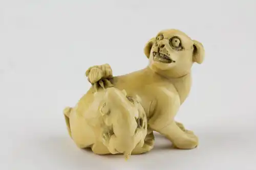 Netsuke, Japan, Meiji Zeit, Bein, Hund mit Welpen und Fliege. L: 4 cm.