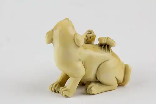 Netsuke, Japan, Meiji Zeit, Bein, Hund mit Welpen und Fliege. L: 4 cm.