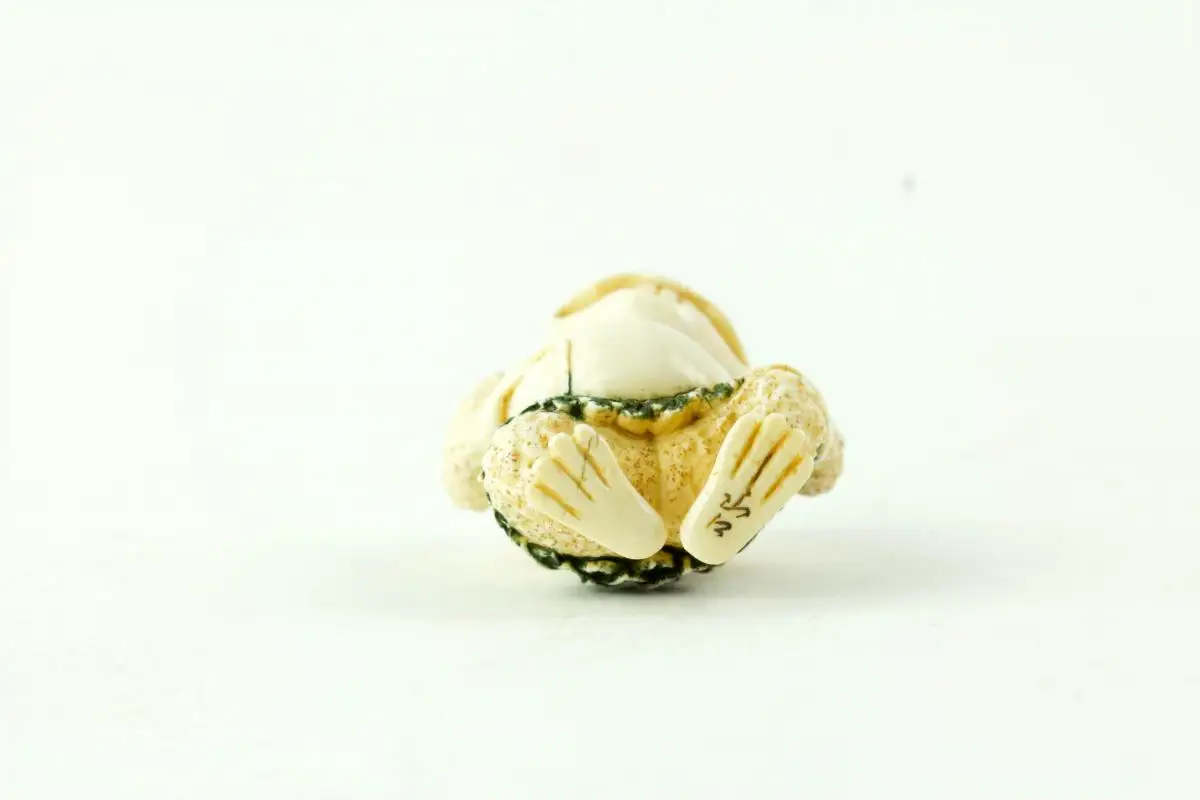 Netsuke, Japan, Taisho-Zeit, Elfenbein, signiert, humoristische Darstellung einer Kröte mit grün gefasstem Blätterrock, sehr feine Ausarbeitung, H: 4,5 cm. 4