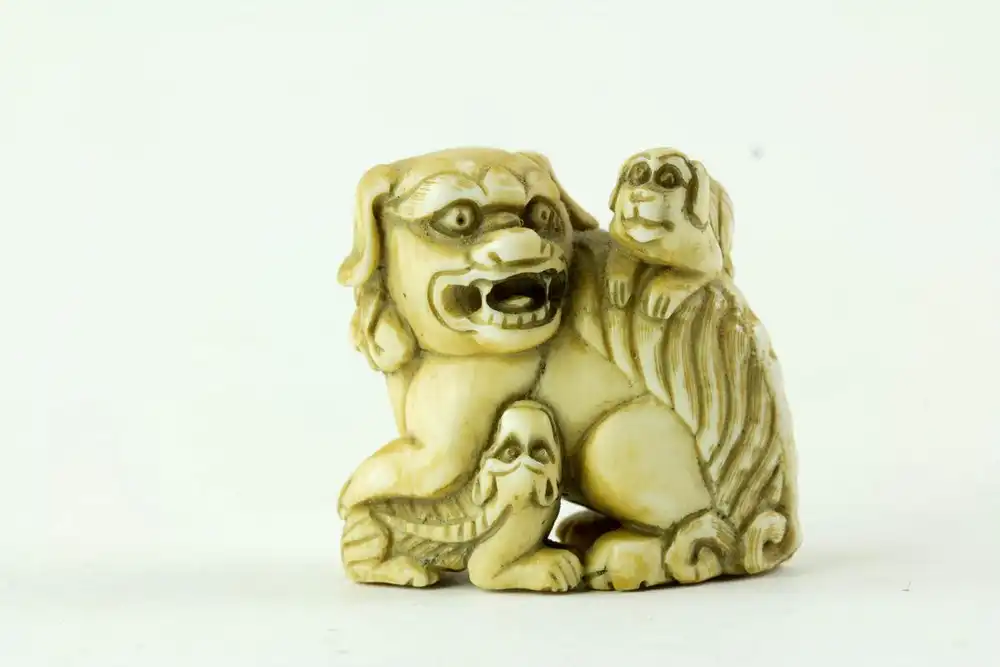 Netsuke, Japan, Meiji-Zeit, Elfenbein, signiert, Shishi mit zwei Jungen, fein geschnitzt, leichte Tragespuren, H: 3,5 cm. 0