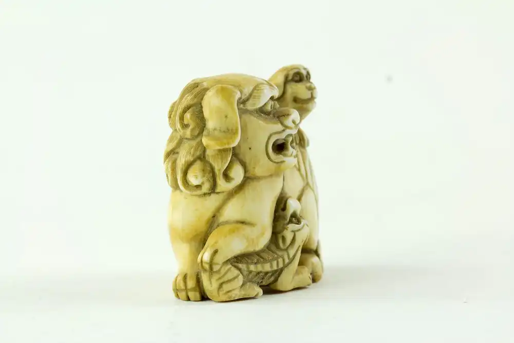 Netsuke, Japan, Meiji-Zeit, Elfenbein, signiert, Shishi mit zwei Jungen, fein geschnitzt, leichte Tragespuren, H: 3,5 cm. 1