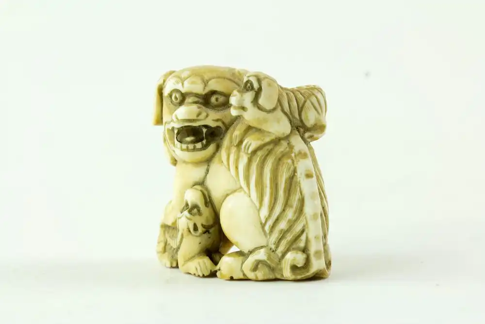 Netsuke, Japan, Meiji-Zeit, Elfenbein, signiert, Shishi mit zwei Jungen, fein geschnitzt, leichte Tragespuren, H: 3,5 cm. 2