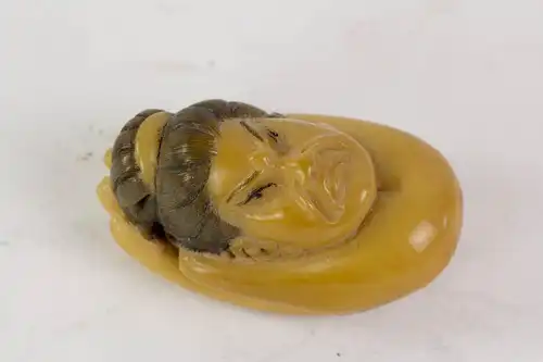 Netsuke, Japan, Meiji Zeit, um 1900, Steinnuss (Taguanuss), Guanyin Kopf in einer Hand, fein geschnitzt und braun gefasst, Gebrauchsspuren. L: 4 cm.