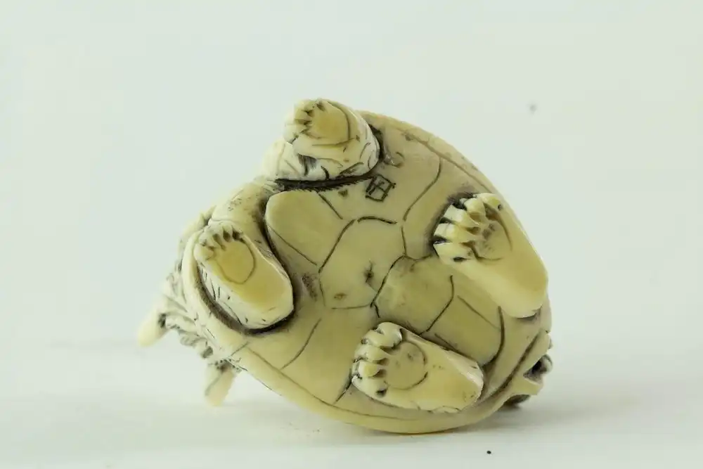 Kleine Figur, Asien, 19. Jh., Elfenbein, Drachenschildkröte, geschnitzt, guter Zustand, 3 cm x 3,5 cm. 4