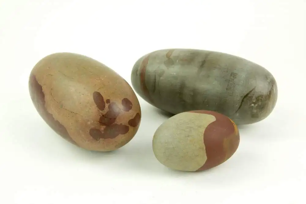3 Shiva Lingam Steine, 20. Jh., Symbol des Phallus als Sinnbild des Shivas, unbeschädigt, 2x L: 20 cm, 1x L: 10 cm. 1