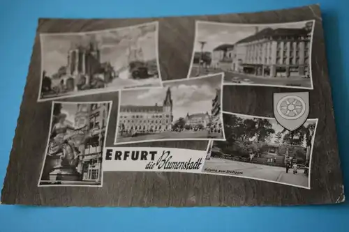 Erfurt - Die Blumenstadt 