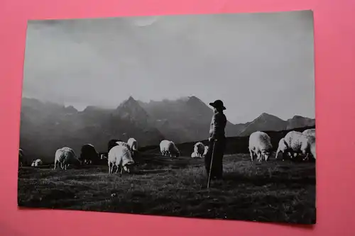 Tatra-Gebirge - Hala Gąsienicowa