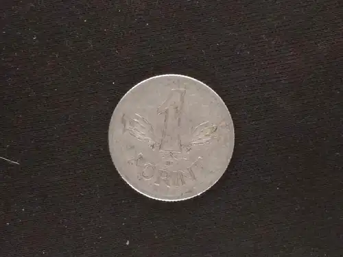 Ungarn - 1 forint 1969 gebraucht (hu017)