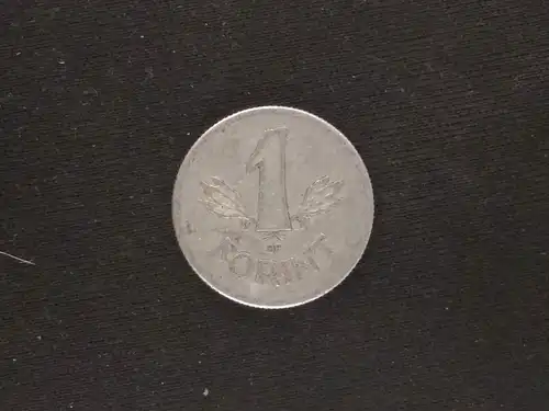 Ungarn - 1 forint 1970 gebraucht (hu018)