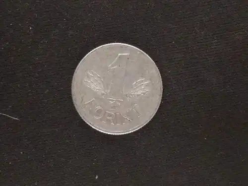 Ungarn - 1 forint 1980 gebraucht (hu019)