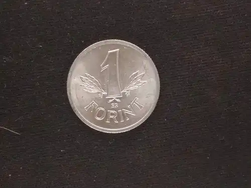 Ungarn - 1 forint 1989 gebraucht (hu023)
