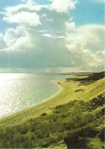 Ansichtskarte Sylt Die schöne Nordsee-Insel Sylt Am Kliff zwischen Braderup und Munkmarsch, 1987, nicht gelaufen