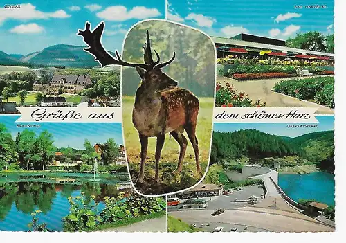 Ansichtskarte Grüße aus dem schönen Harz - nicht gelaufen