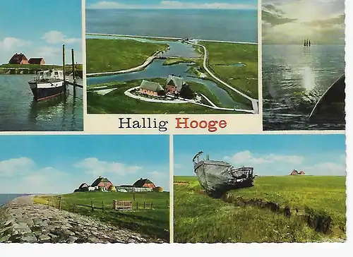 Ansichtskarte Hallig Hooge - nicht gelaufen