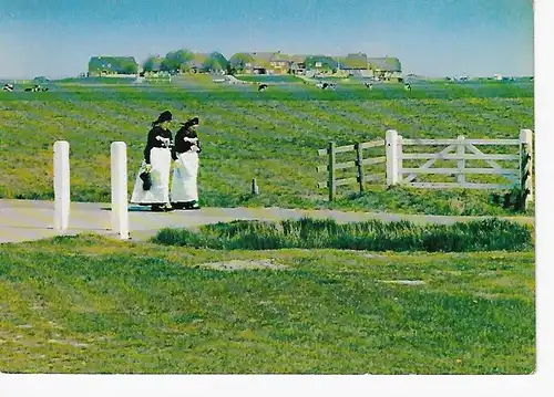 Ansichtskarte Grüße von der Hallig Hooge - gelaufen 1986