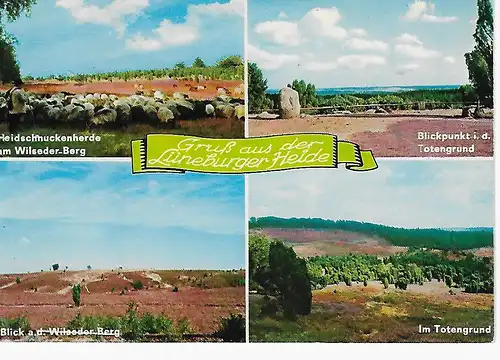 Ansichtskarte Lüneburger Heide - ungelaufen