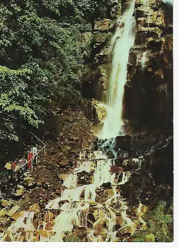Ansichtskarte Trusetal (Kr. Schmalkalden) - Trusetaler Wasserfall, gelaufen 