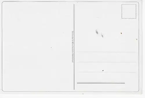 Jacinthe d'Orient Varieté bleue - nicht gelaufen