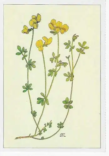 Tiriltunge Tegnet av Dagny Lid - nicht gelaufen