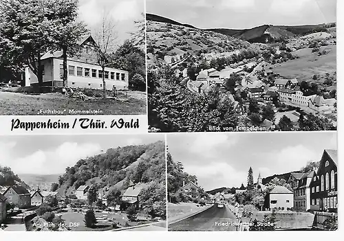 Ansichtskarte Pappenheim / Thür. Wald - nicht gelaufen 