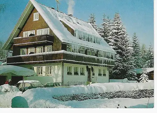 Ansichtskarte Gästehaus Klingele - Hinterzarten - nicht gelaufen 