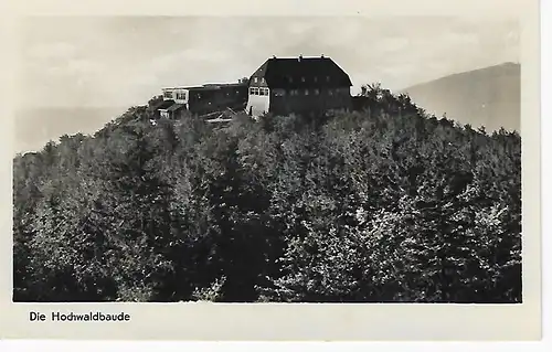 Ansichtskarte Zittauer Gebirge (Kr. Zittau) - Die Hochwaldbaude - nicht gelaufen