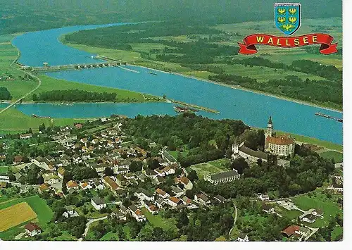 Ansichtskarte Sommererholungsort Wallsee a. d. Donau - gelaufen