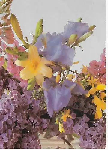 Ansichtskarte Blumen - beschrieben