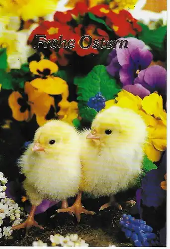Osterklappkarte Küken - beschrieben