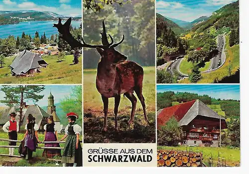 Ansichtskarte Schwarzwald - gelaufen 1980
